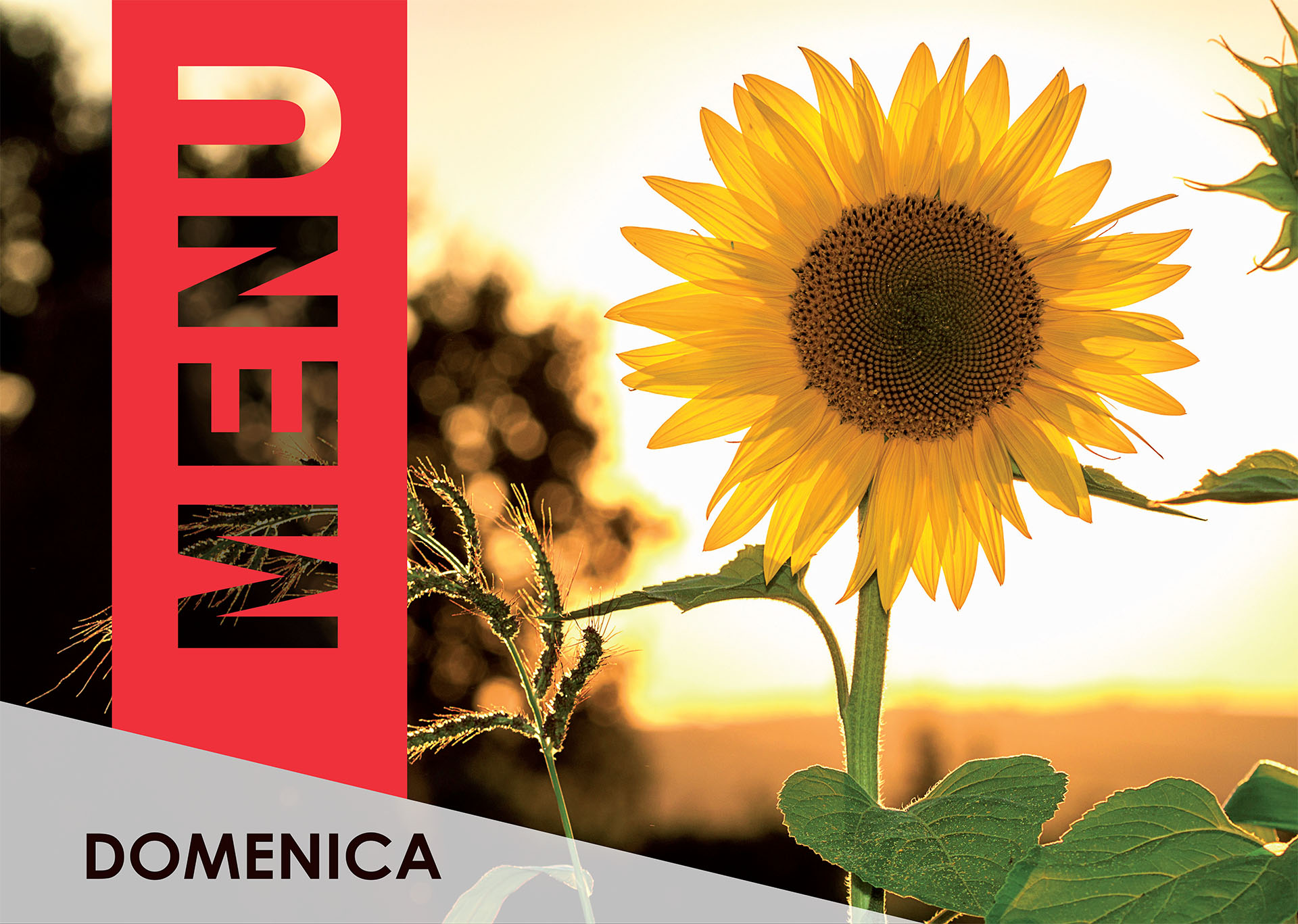 agriturismo coccinella - menu domenica