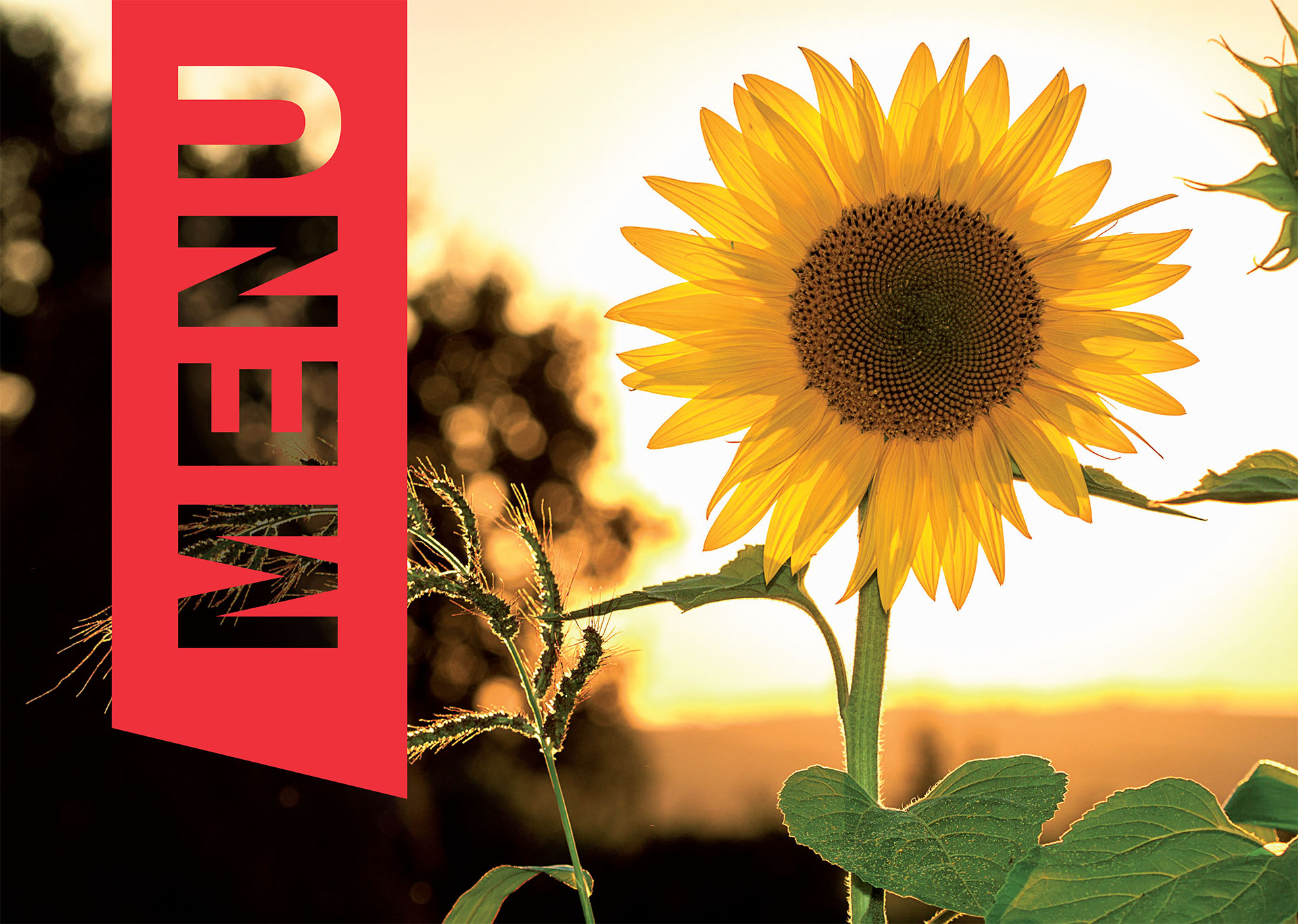 agriturismo coccinella - menu 1 maggio