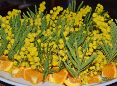 Agriturismo Coccinella Le Vostre Feste 5