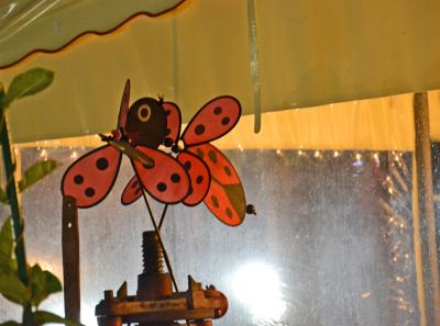 Agriturismo Coccinella 2