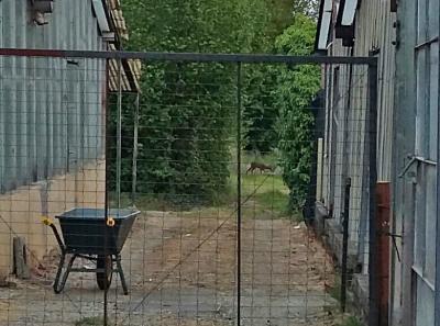 Agriturismo Coccinella Orto 1