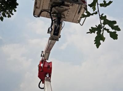 Agriturismo Coccinella Orto 2