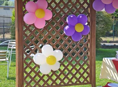 Agriturismo Coccinella Le Vostre Feste 10